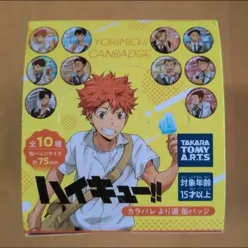 하이큐!! 카라파레 요리오치 캔뱃지 전10종 미개봉