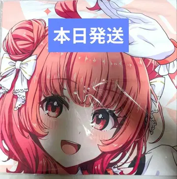 브이스포! 페스티벌 2025 하피 유메노 아카리