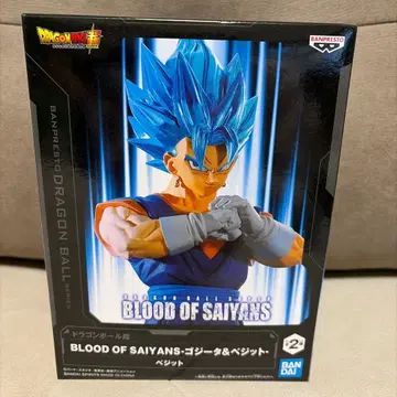 드래곤볼 BLOOD OF SAIYANS 베지트