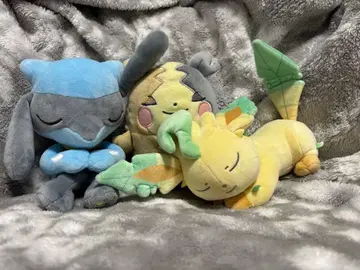 포켓몬 쌔근쌔근 프렌즈 3체 세트