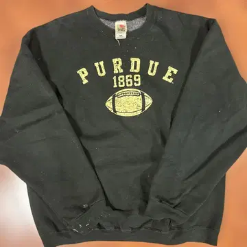 90s 맨투맨 프룻 오브 더 룸