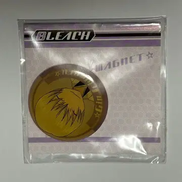 BLEACH 마그넷 이치마루 긴