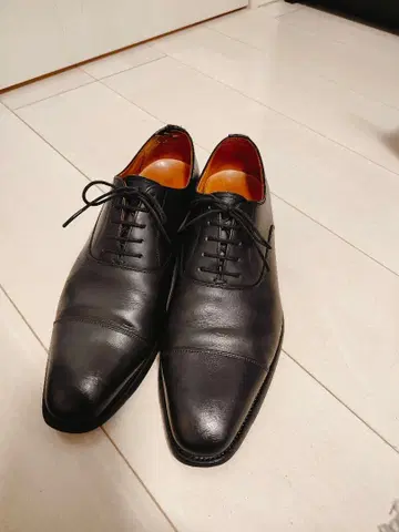 SCOTCHGRAIN 스코치그레인 타쿠미 스트레이트 팁 25cm