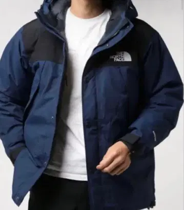 THE NORTH FACE 고어텍스 다운 자켓 M 네이비
