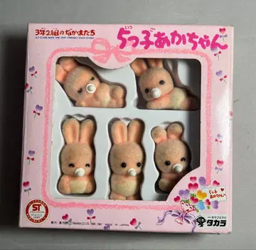 초레어 3학년 2반 친구들 다섯 쌍둥이 아기 1987년제