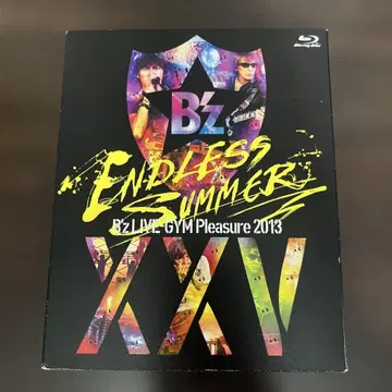 B'z/B'z LIVE-GYM Pleasure 2013 ENDLESS -