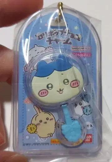 롤리팝 참 하치와레