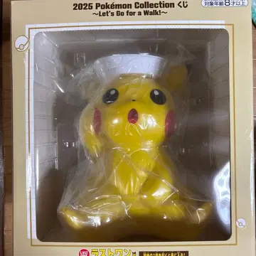 2025 포켓몬 컬렉션