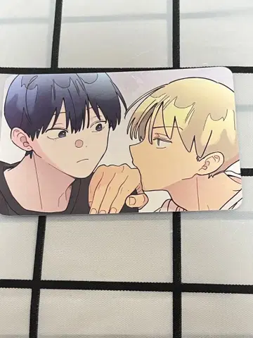 한국 BL BOMTOON HOMEPARTY 특전