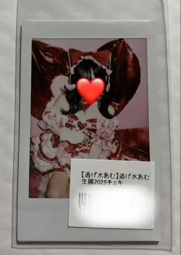 큐루링 해봐 님게수 아무 생탄 폴라로이드