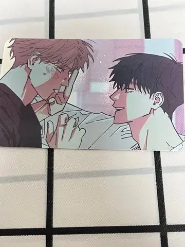 한국 BL BOMTOON HOMEPARTY 혜택