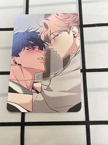 한국 BL BOMTOON HOMEPARTY 특전