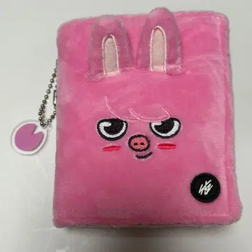 돼끼 창빈 트레이딩 카드 홀더 스트레이 키즈