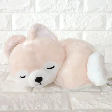 콩 시바 삼형제 봉제 인형