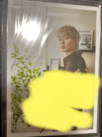 초특급 마사히로 사인