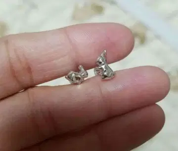토끼 귀걸이
