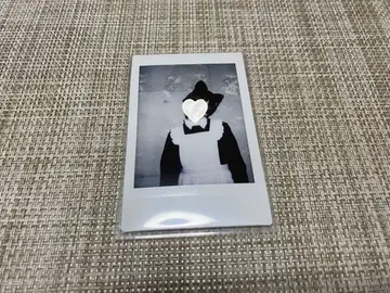 집사와 메이드 폴라로이드 고양이 고양이 고양이와 우시오카 마사무네