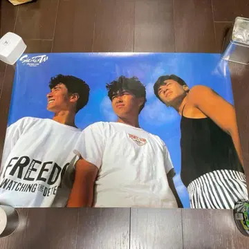 소년대 포스터 레어