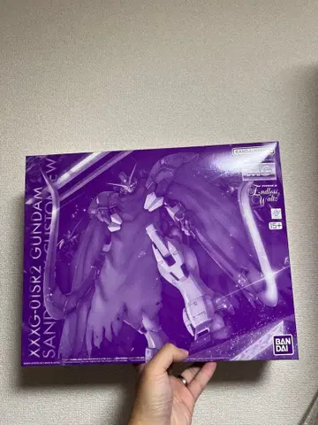 MG 1/100 건담 산드로크 개 EW