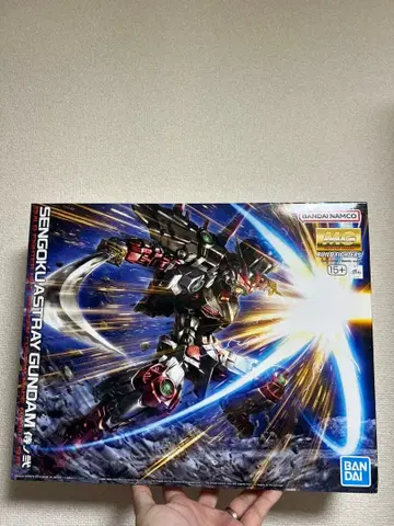 MG 1/100 전국 아스트레이 건담