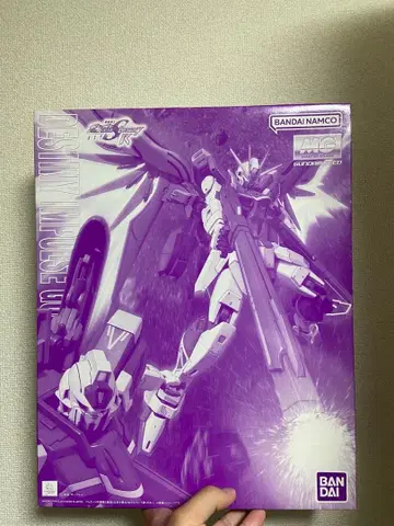 MG 1/100 데스티니 임펄스 건담 R (리제네스)