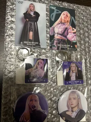 CANDY TUNE 미야노 시즈케 스키복권