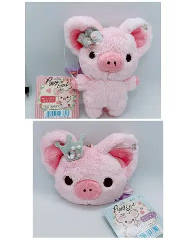 산엑스 피기걸 마스코트와 코인 케이스 초레어