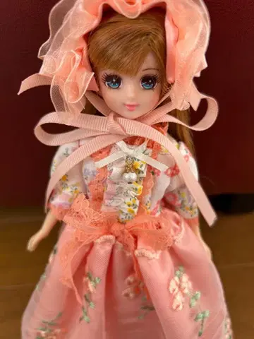 리카짱 프렌드 카렌짱 (착용 의상 포함)