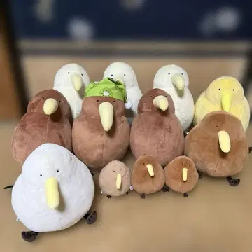 느긋한 키위 묶음 판매