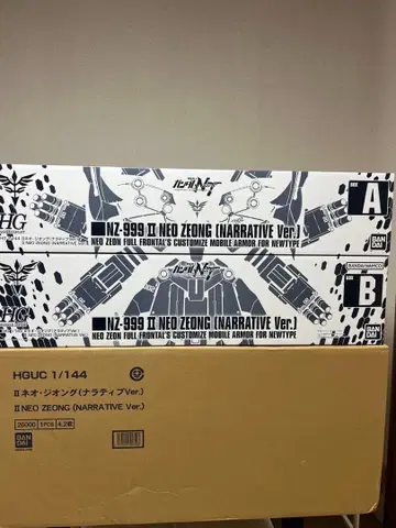 HG 1/144 네오지옹 (내러티브 Ver.)