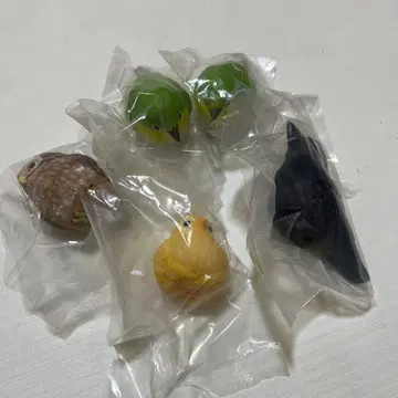 테노리 프렌즈 4