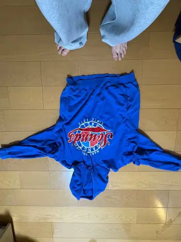 Santa Cruz 로고 파랑 후드티