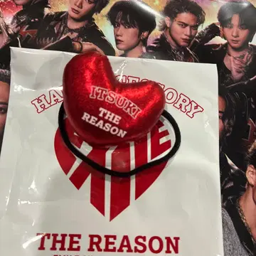 THE REASON 머리끈 후지와라 이츠키