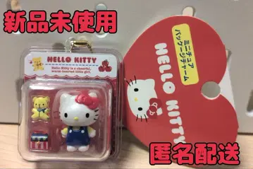 미니어처 패키지 참 키티 미사용 새상품 헬로키티 산리오