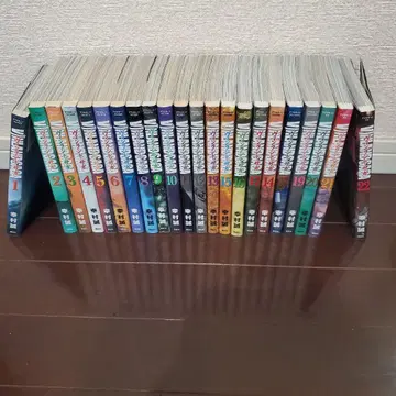 빈란드 사가 22권까지 유키무라 마코토 저