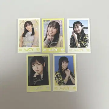 니지/아이다 유리/미니 사진 vol.3/컴프