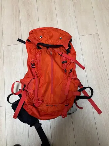 TELUS 93 백팩 오렌지