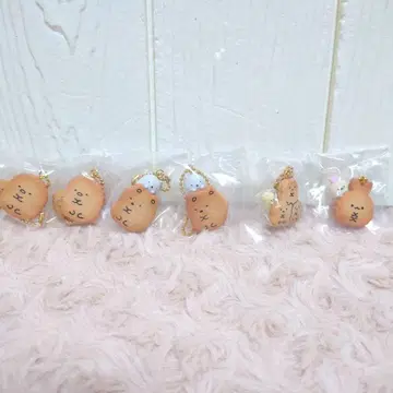 스미코구라시 비스킷 참 6개 세트 묶음 판매