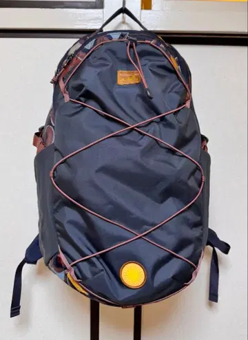 patagonia Refugio Day Pack 30L
