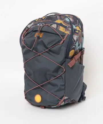 patagonia Refugio Day Pack 30L