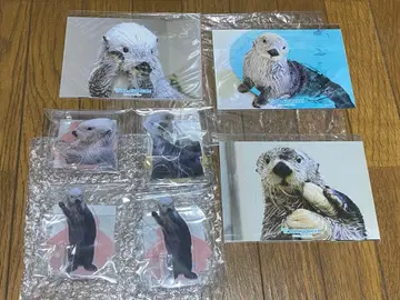 캡슐 복권 x 토바 수족관 메이짱 키라짱 리턴즈 복권