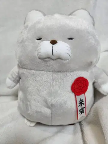 히게 만주 고양이 봉제 인형