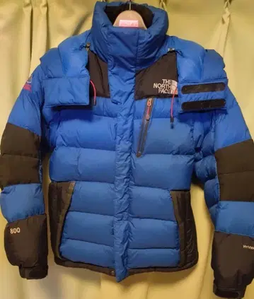 THE NORTH FACE SUMMIT SERIES 다운 자켓