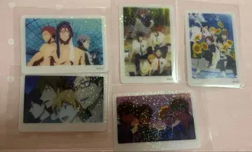 Free! 미니 포토 카드 홀로