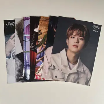 StrayKids 플라이어 승민