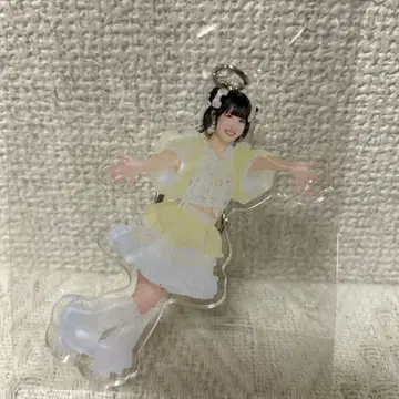 Pixel Ribbon 타치바나 히나 리메이크T 아크링 키링