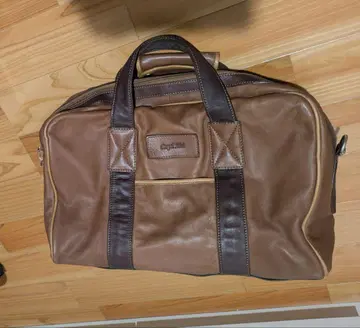 페니쉬 민트 보스턴 백