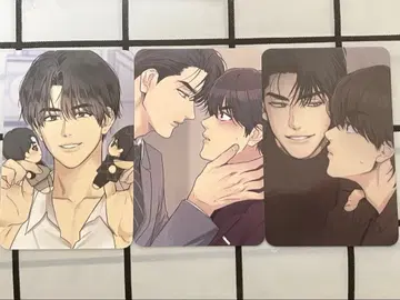 한국 BL payback 트레이딩 카드