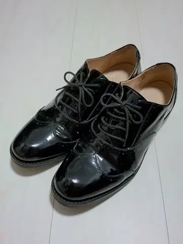 STOKTON x felimage 윙 팁 드레스 슈즈