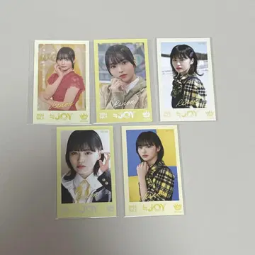 니지유/에스미 레온/미니 사진 vol.3/컴플리트